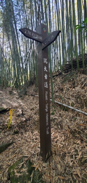 2025-01-30瑞太古道2704366