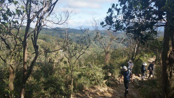 飛鳳山+石壁潭生態步道1189494