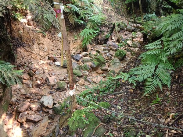 汐止區金明山B線+如意湖O型2860234