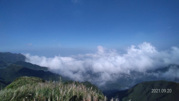 久違了 ! 陽明山再見雲海&觀音圈+夕陽&中秋月圓1463874