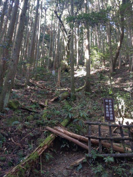 台版富士山「加里山」(小百岳#34) 2020/12/191424805