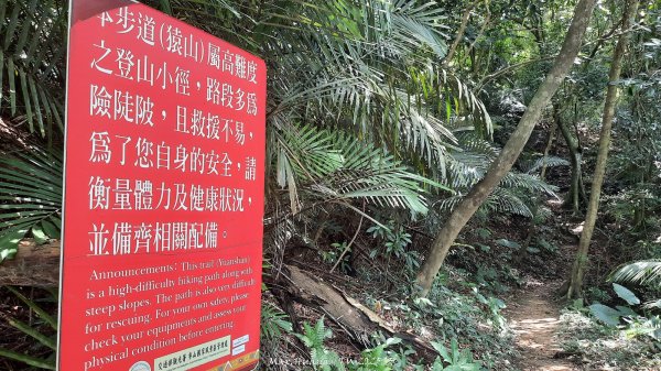 《新竹》青青石階｜娥眉藤坪步道及萬佛庵步道202509132883902