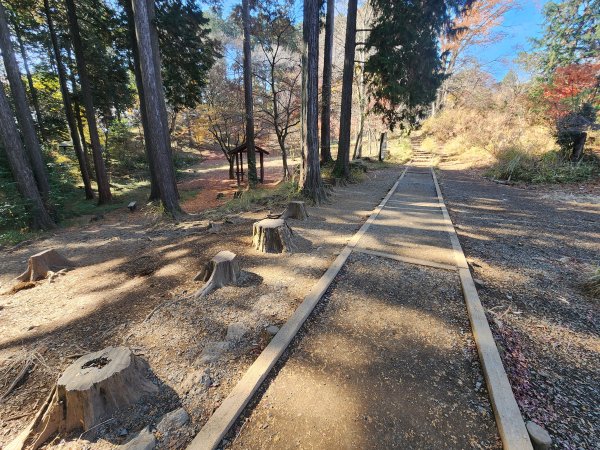 20251127陣馬山至高尾山2959098