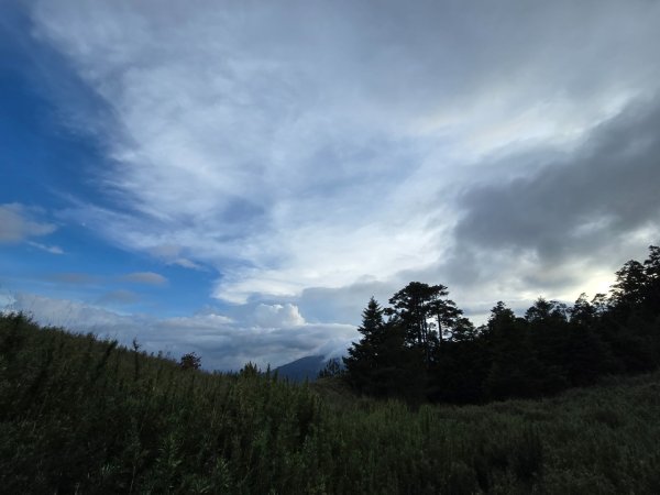 志佳陽大山（回程走高繞環山獵人登山步道）2542205