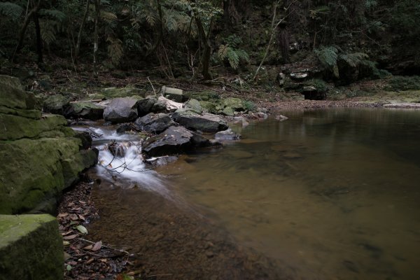 魚池鄉-澀水森林步道之水上瀑布1171963