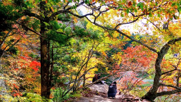 福島縣塔之斷崖2930289