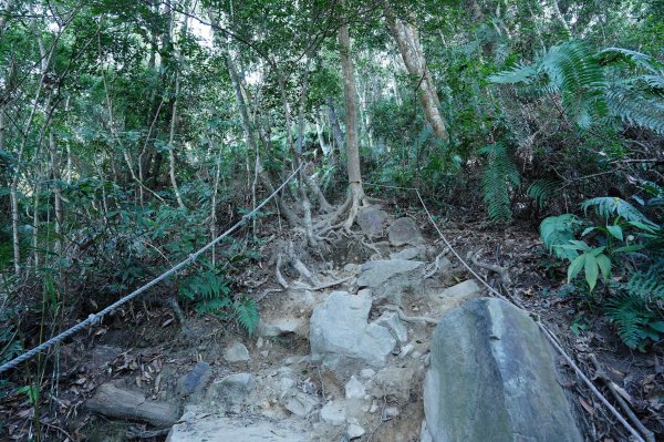 臺中 和平 白毛山、次郎山2670913