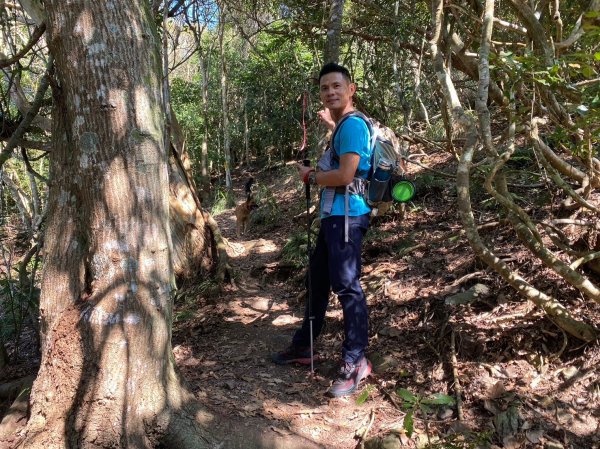 六龜美輪山【享受簡單純粹的登山樂趣】2415554