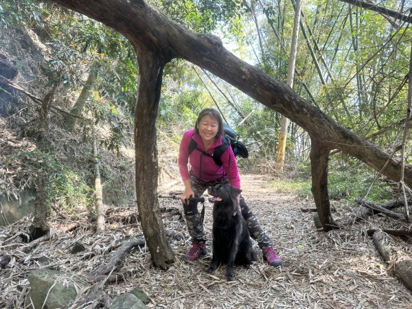 高雄美濃月光山2734921