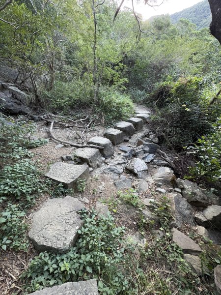 20251213屏東里龍山2961270