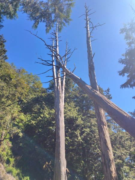 守關山南峰 守關山 守城大山2919159