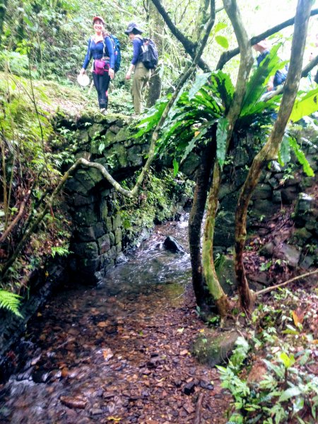 淡蘭古道中路【崩山坑-石空段】640676