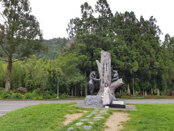 桃園巴陵古道，楊梅保甲古道，牛路崎古道，福人登山步道，龍潭伙房崎古道，打牛崎古道，林埤古道1730743