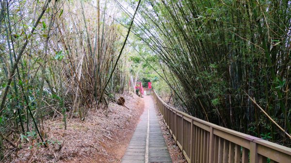 老崎古道(後花園步道)2676852