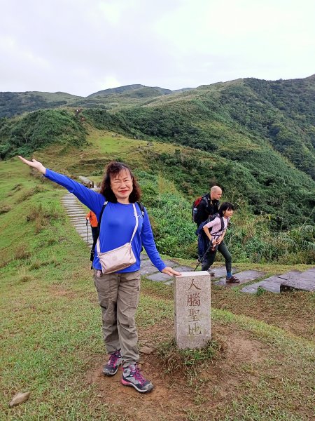 【新北-臺灣百大必訪步道】灣坑頭山→福德山→桃源谷草嶺線→大溪線→蕃薯寮山→大溪火車站1524587