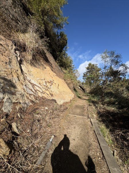 20251225塔山步道(大塔山)2970408