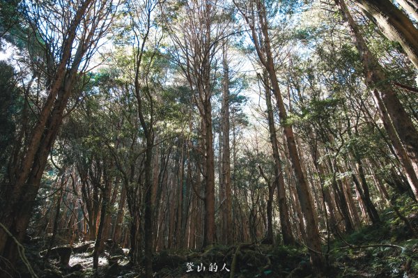 霞山鐵道野營2843070