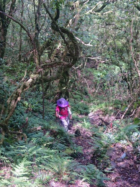 威赫山、多崖山、北插天山O走1746667