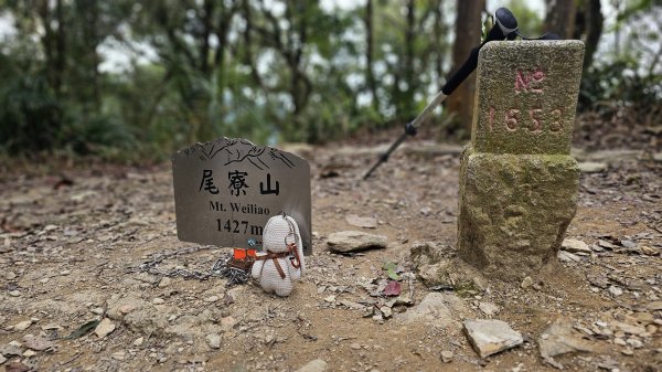 【錯過昨天的約定，今天用腳步致歉】⛰️尾寮山的魔王氣場依舊強大