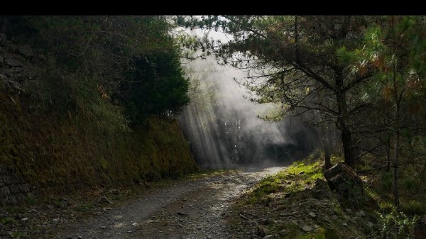 不用請假也能去的百岳：郡大山754360