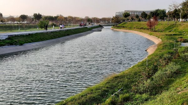 《台中》城市漫遊｜中央公園202203051631082