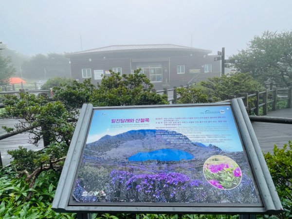 1140811 KR 漢拏山杜鵑花田避難所-紗羅岳觀景臺2860178