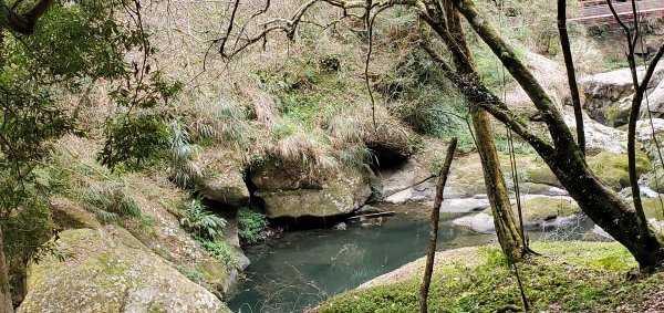 2023-01-01杉林溪青龍蕨類步道(青龍瀑布)、松瀧岩瀑布及天地眼步道1978862