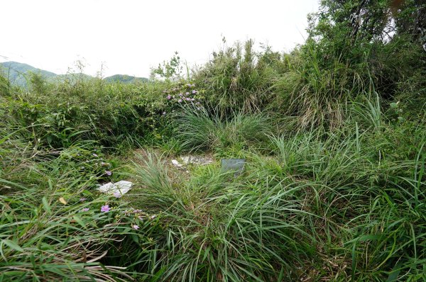 新北 烏來 大礁溪山2821594