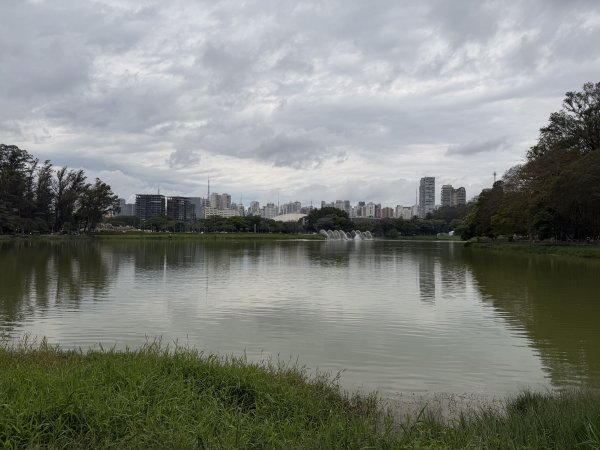 [紐約馬之行-68] 2025_1116 伊比拉布埃拉公園-中2955122