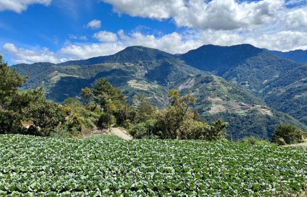 值得為它緩慢⋯白姑大山1487698