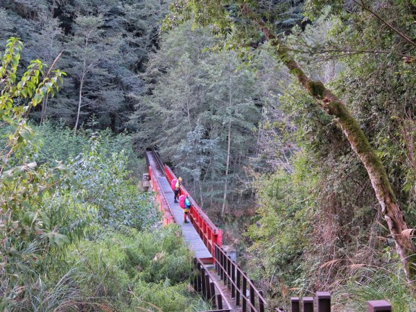 大霸尖山 伊澤山 加利山1514905