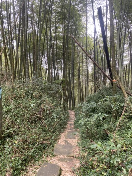 奮瑞瑞太古道3060174