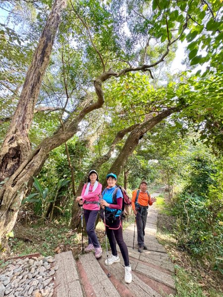 古坑地母廟走荷苞山(登山步道)訪小溪子山2946727