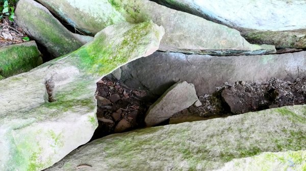 大邱田石門洞2856212