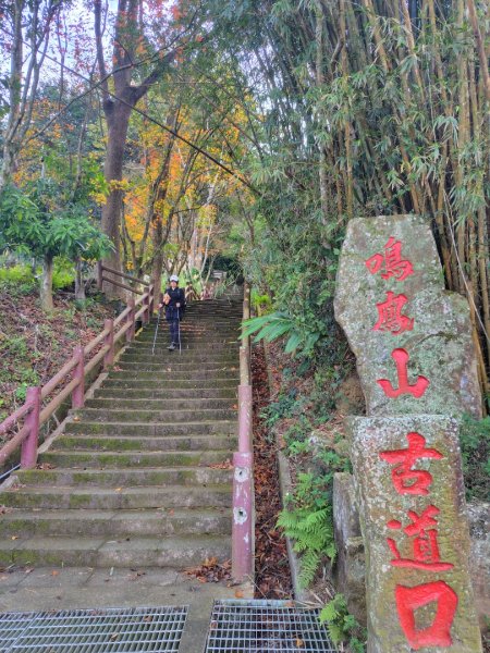 鳳鳴古道 鳳鳴山 南隘勇（南長城）古道 三湖山 八達嶺（龍骨）古道 綠色古道 延平古道2975259