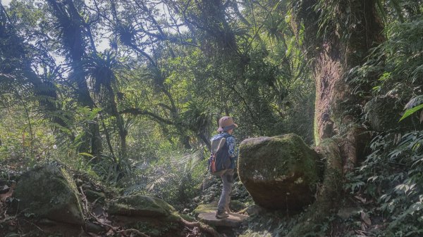 灣潭古道 & 北勢溪古道連走(淡蘭古道中路)2030181