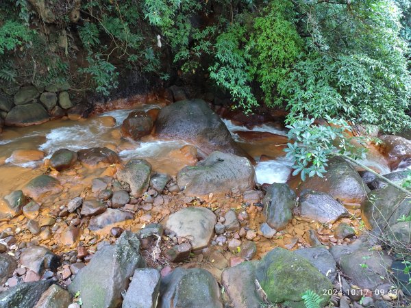 天母→猴洞→湖山→半嶺→第二展望臺→陽峰古道→花田花草集【發現陽明山】2-12629109