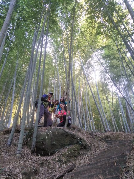 20181204嘉南雲峰、石壁山登山步道473388