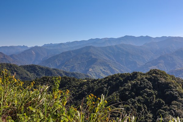 [苗栗]馬那邦山2355188