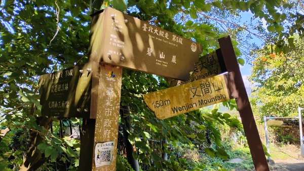 年前練練腳台北西湖近郊13連峰O型2999223