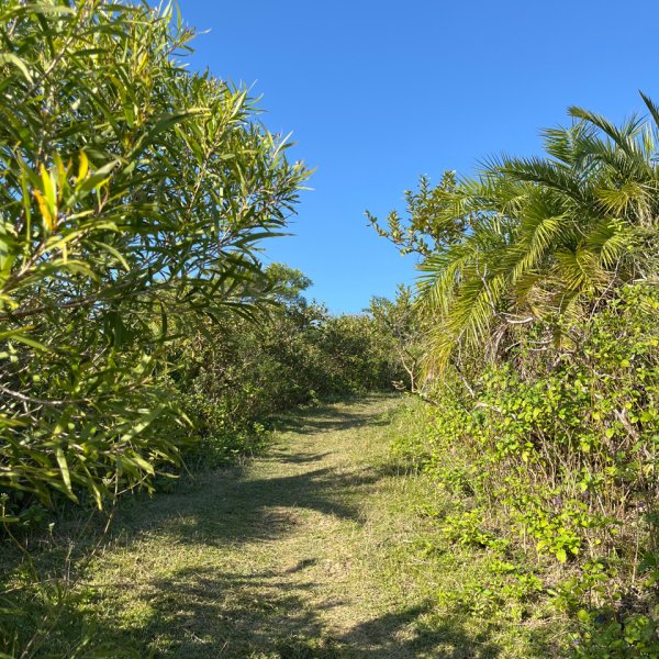 20251210_大山母山（屏東小百岳）2968643