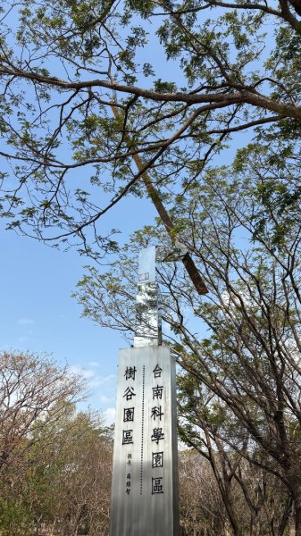 🚴‍♂️ 台南單車慢漫遊3003315