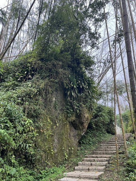 [嘉遊好步道．來嘉走走-04/10] 2024_1011 阿里山頂湖步道2624708