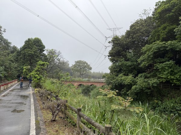 [樟之細路_第一大段RSA01] 2026_0329 大平紅橋3026628
