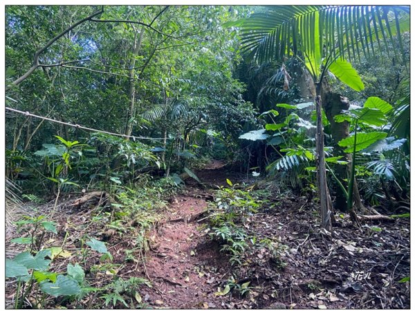 草嶺山、白石山、頭寮山 六連峰 O型路線2798529