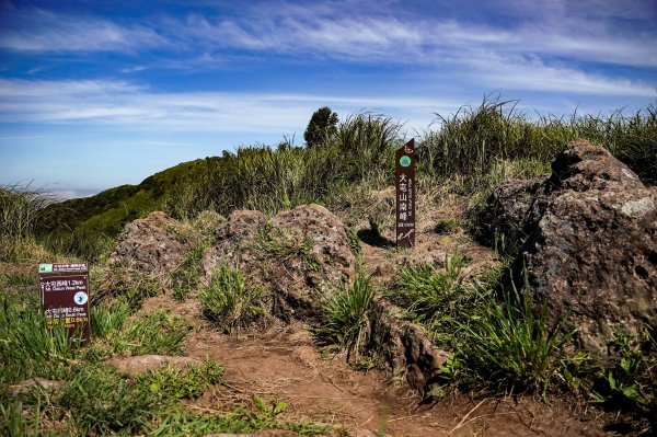 大屯山連峰步道｜陽明山小百岳2856260