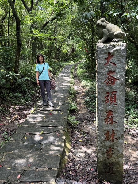 大崙頭山 2025/05/302811054