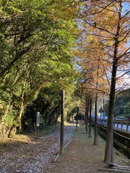 2023/12/14 碇內尖山 龍門山 五分山 淡蘭古道中路2399836