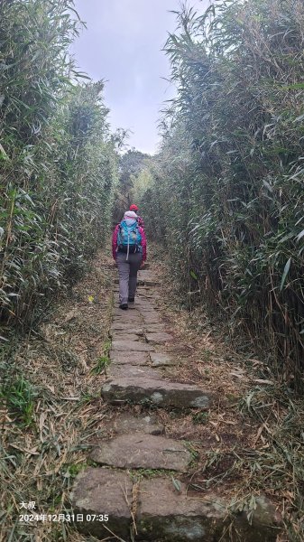 20024-1231臺北大縱走第二段：大屯主西南二子坪O型2680132