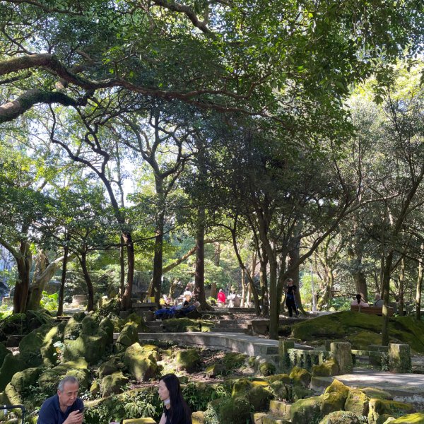 20261009 菁苗步道（苗圃登山口-菁山自然中心-前山公園）3133911